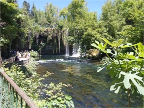 IMG_20240507_113910_476